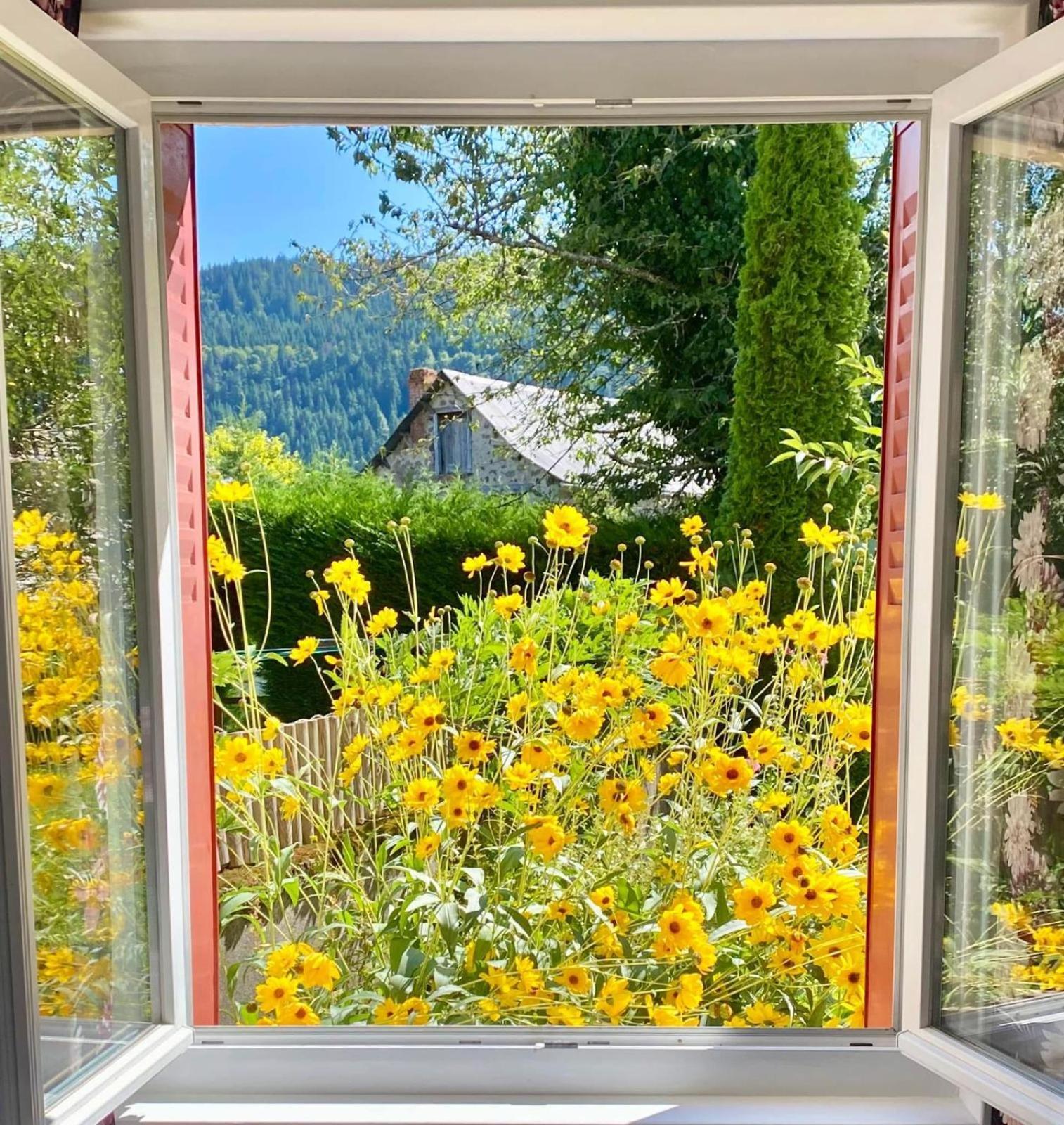 Hotel Restaurant Du Plomb Du Cantal Murat  Buitenkant foto